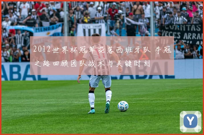 2012世界杯冠军花落西班牙队 夺冠之路回顾团队战术与关键时刻