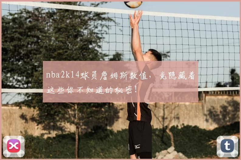 nba2k14球员詹姆斯数值，竟隐藏着这些你不知道的秘密！