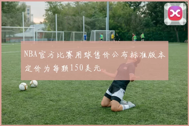 NBA官方比赛用球售价公布标准版本定价为每颗150美元