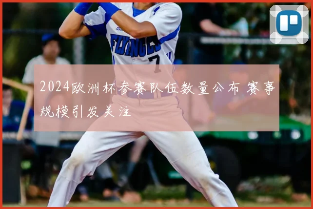 2024欧洲杯参赛队伍数量公布 赛事规模引发关注