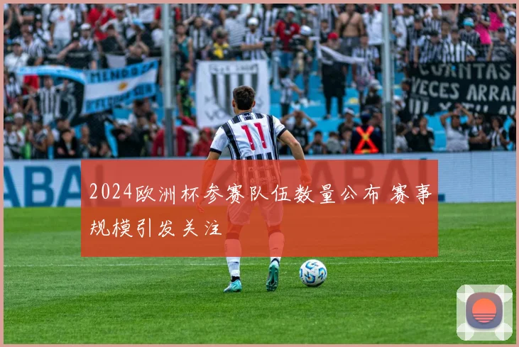 2024欧洲杯参赛队伍数量公布 赛事规模引发关注