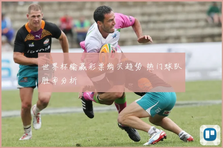 世界杯输赢彩票购买趋势 热门球队胜率分析